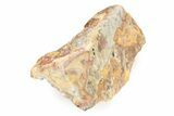 Polished Crazy Lace Agate Section - Australia #239808-1
